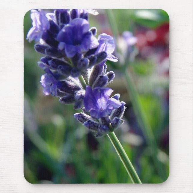 Tapis De Souris Pousse de Fleur Violette (Devant)