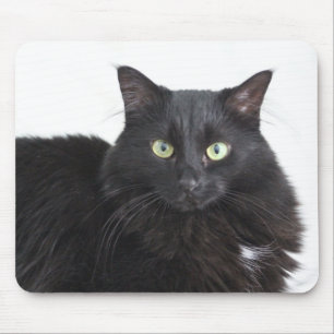 Tapis De Souris Poussière de chat noir