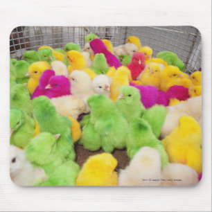 Tapis De Souris Poussins de bébé dans un stylo à un marché coloré