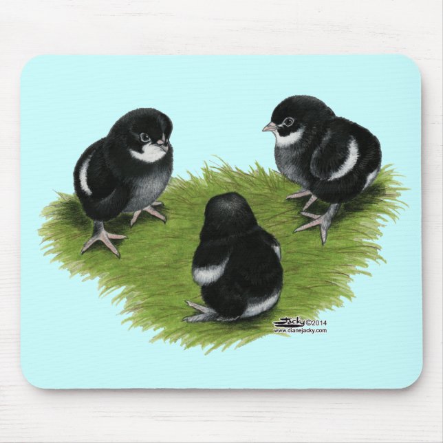Tapis De Souris Poussins de cuivre noirs de Marans (Devant)