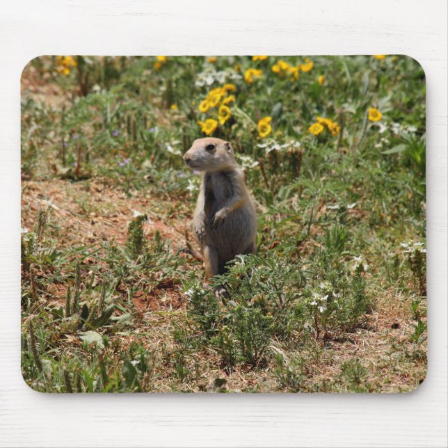 Tapis De Souris Prairie Dog Solo (Devant)