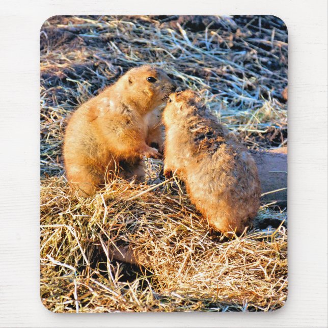 TAPIS DE SOURIS PRAIRIE DOGS (Devant)