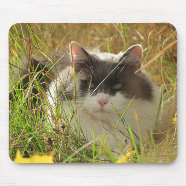 Tapis De Souris Prendre du soleil. (Devant)