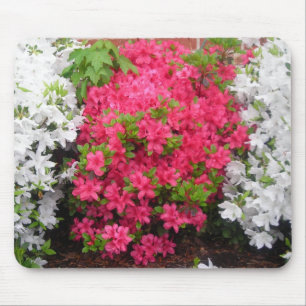 Tapis De Souris Pretty en azalées rose (et blanc)