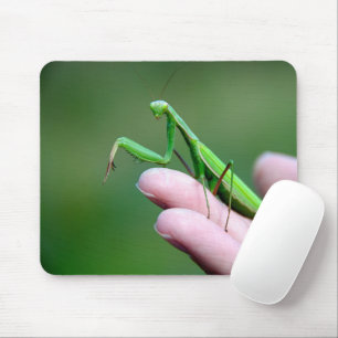 Tapis De Souris Prier Mantis À La Main