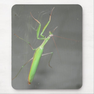 Tapis De Souris Prière Mantis Mousepad Plus