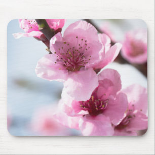 Tapis De Souris Printemps