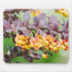 Tapis De Souris Printemps