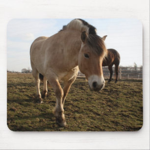 Tapis De Souris Printemps