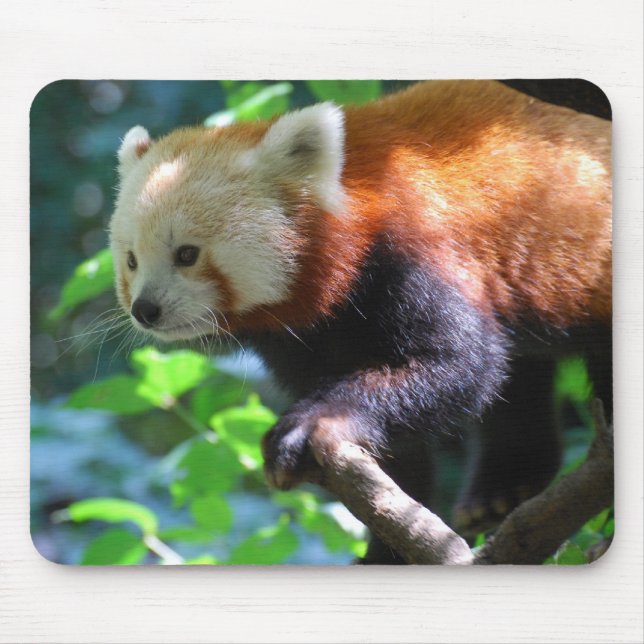 Tapis De Souris Produit de personnaliser (Devant)