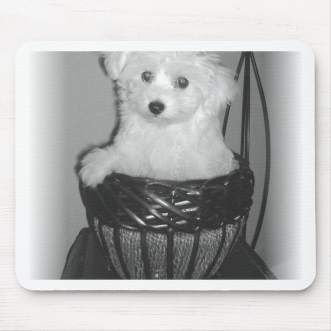 Tapis De Souris Produits de MaltiPoo (Devant)