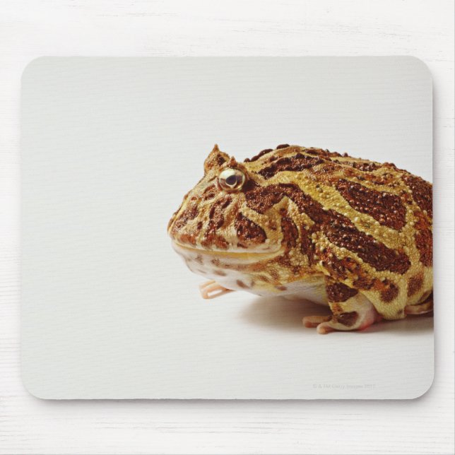Tapis De Souris Profil de la grenouille à cornes argentine (Devant)