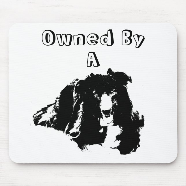 Tapis De Souris Propriété D'Un Collie Frontière Drôle Chien Drôle (Devant)