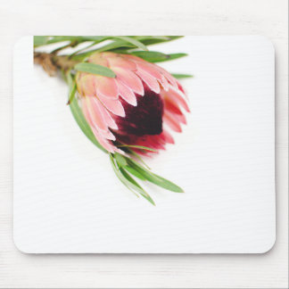 Tapis De Souris Protea