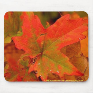 Tapis De Souris Protection de feuille d'automne