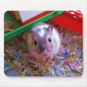 Tapis De Souris Protection de gerbille