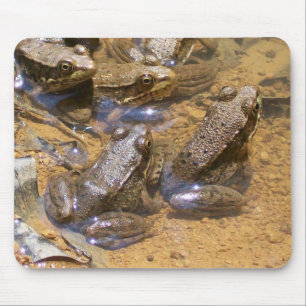 Tapis De Souris protection de grenouille