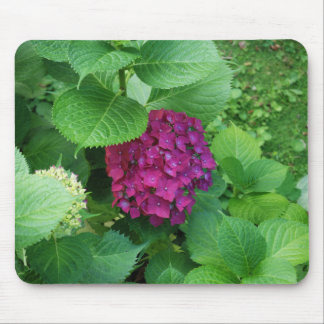 Tapis De Souris Protection de Hortensia