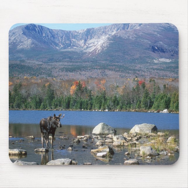 Tapis De Souris Protection d'orignaux (Devant)