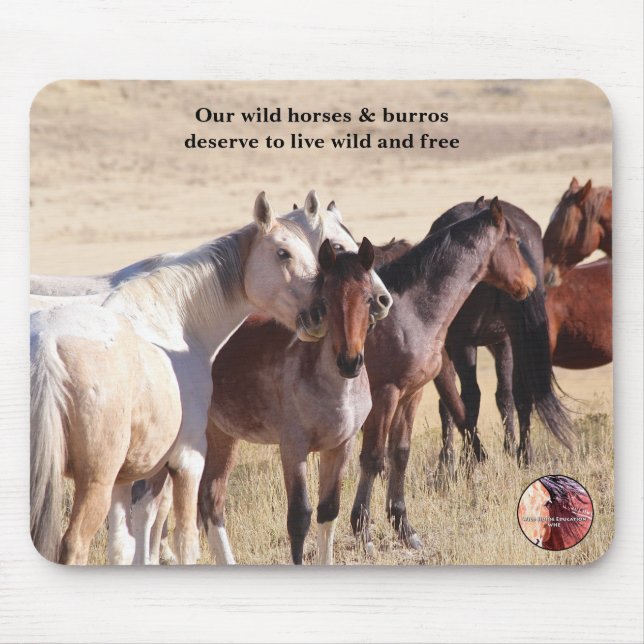 Tapis De Souris Protégez nos chevaux sauvages (Devant)