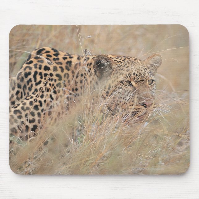 Tapis De Souris Prowling Leopard se cacher dans les Prairies (Devant)
