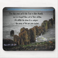 Psaume 107 : 28-29