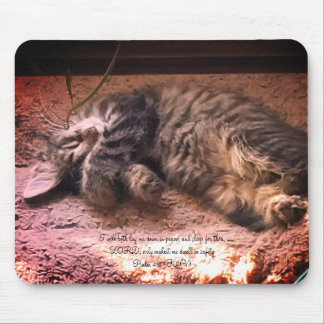 Tapis de souris Psaume 4:8 Kitty Cat