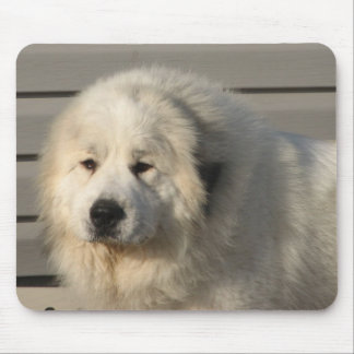 Tapis De Souris Puissance de Pyr
