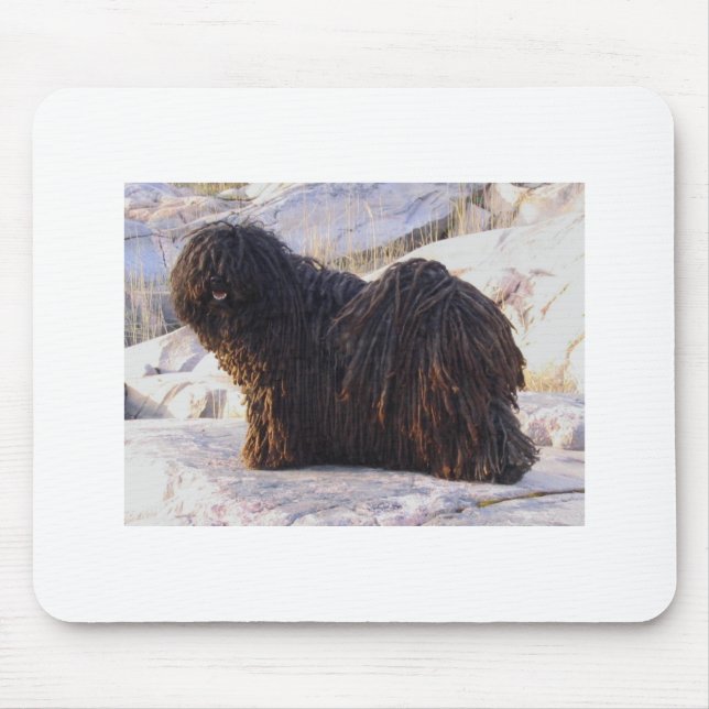 Tapis De Souris Puli (Devant)