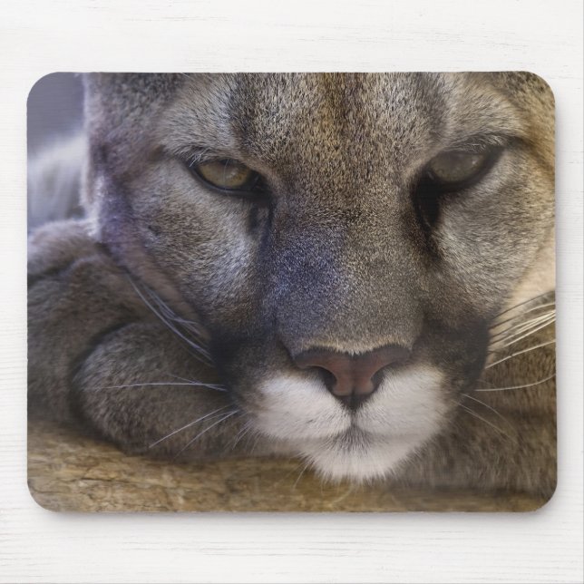 Tapis De Souris Puma (Devant)