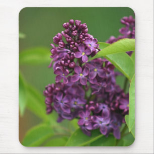 Tapis De Souris Purple Lilac Mousepad