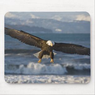 Tapis De Souris Pygargue à tête blanche, Haliaeetus leucocephalus,