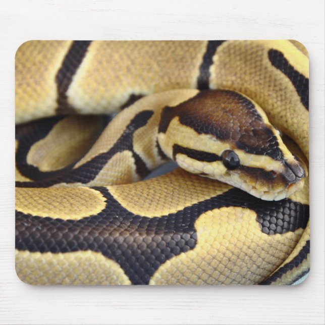 Tapis De Souris Python jaune et noir 3 de boule (Devant)