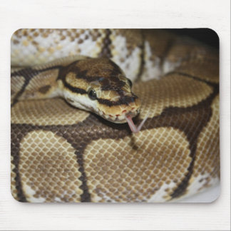 Tapis De Souris Python Mousepad de boule d'araignée