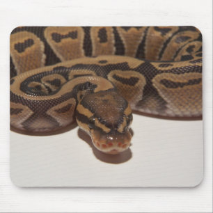 Tapis De Souris Python Mousepad de boule de fantôme