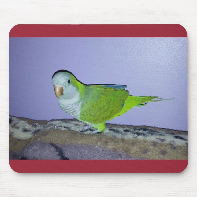 Tapis De Souris Quaker Parrot Mousepad (Devant)