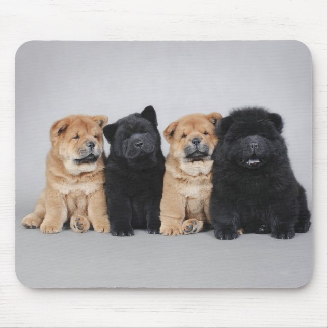 Tapis De Souris Quatre petits chiots de Chow (Devant)