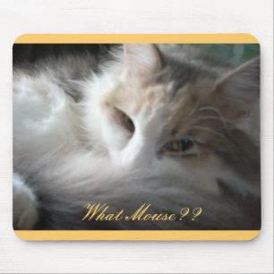 Tapis De Souris Quelle souris ? ?