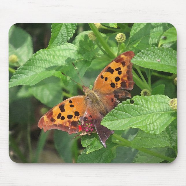 Tapis De Souris Question Mark Butterfly on Lantana (Devant)