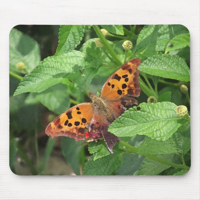 Tapis De Souris Question Mark Butterfly on Lantana (Devant)