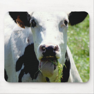 Tapis De Souris "Qui je "