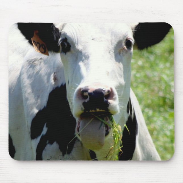 Tapis De Souris "Qui je " (Devant)