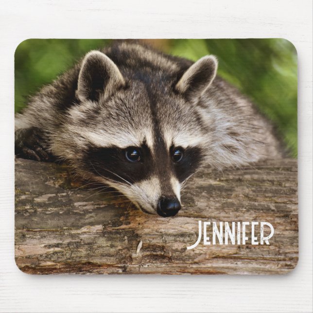 Tapis De Souris Raccoon mignon reposant sur un journal (Devant)