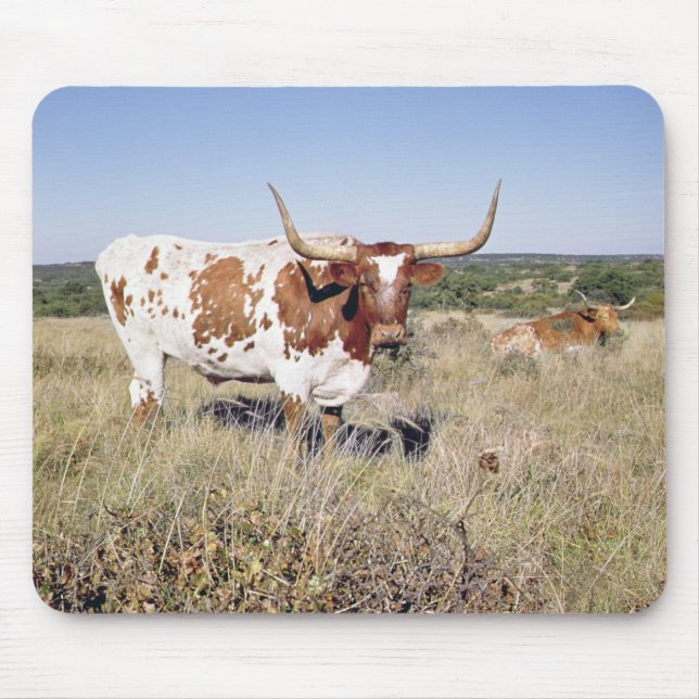 Tapis De Souris Race du Texas Longhorn (photo) (Devant)
