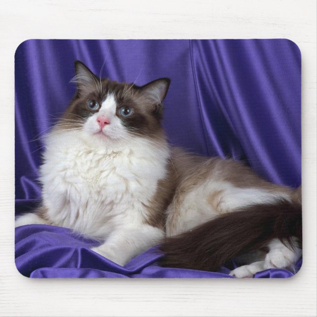 Tapis De Souris Ragdoll, joint bicolore (Devant)