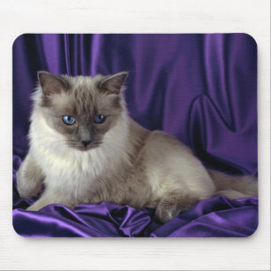 Tapis De Souris Ragdoll, point bleu