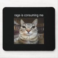Rage Me Consume Silly Staring Cat Meme