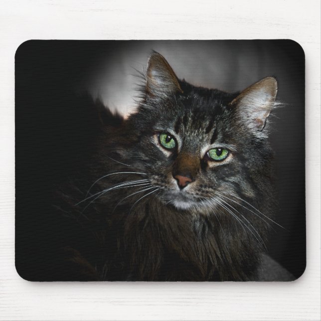 Tapis De Souris Ragondin du Maine (Devant)