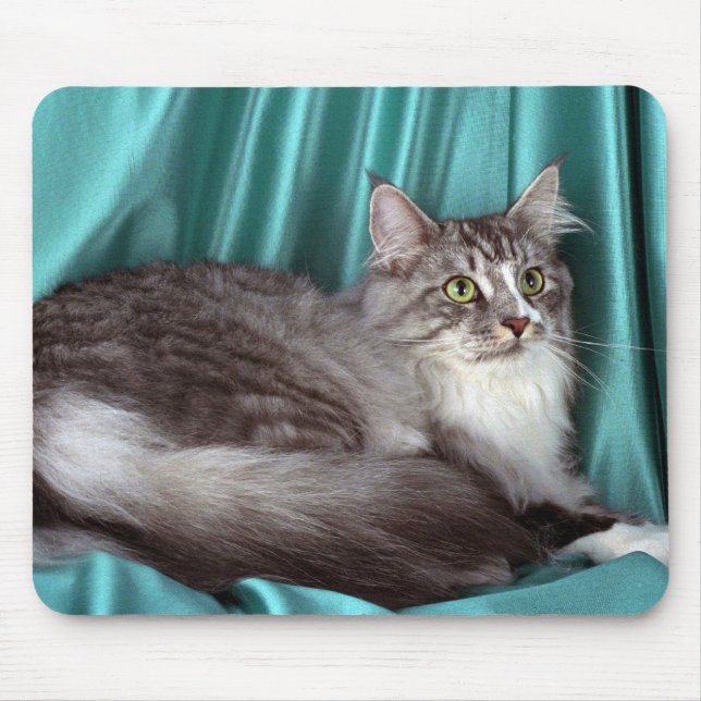 Tapis De Souris Ragondin du Maine, chat tigré argenté (Devant)