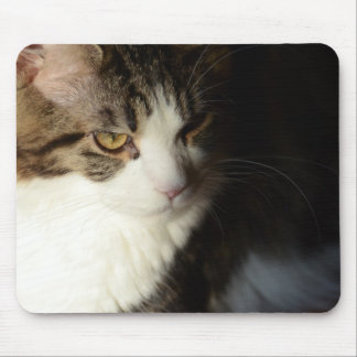 Tapis De Souris Ragondin Kitty Mousepad du Maine